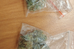 marihuana15.03.26_5